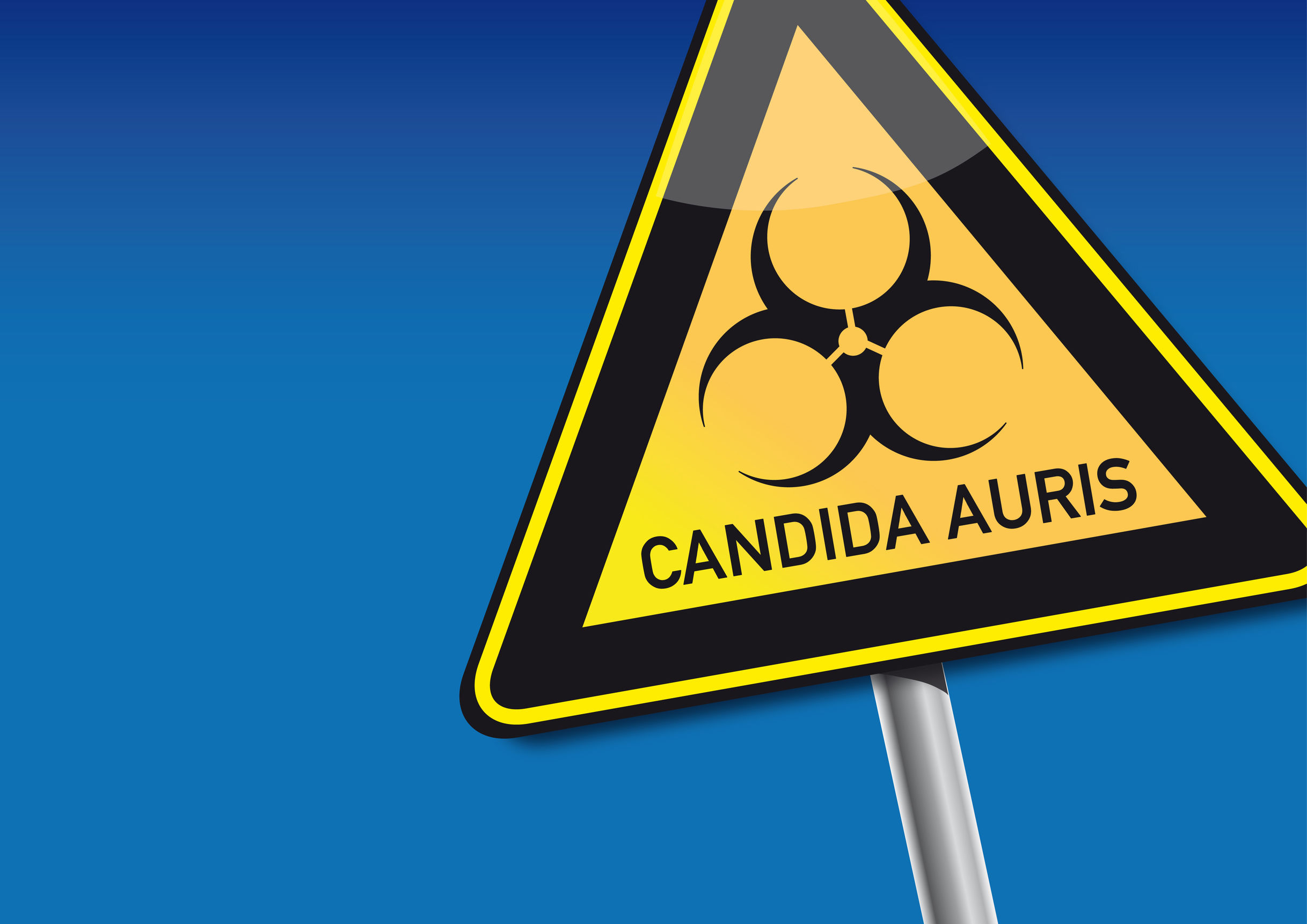 Warning Candida Auris